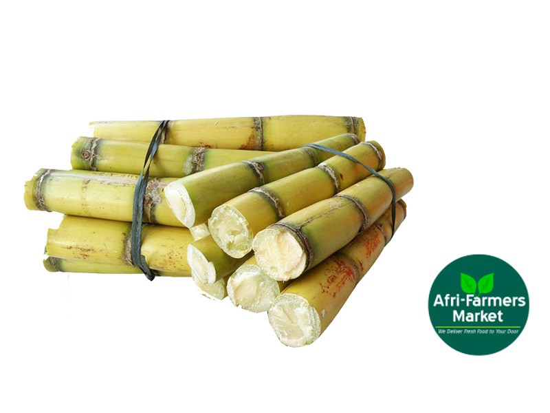 Sugar cane